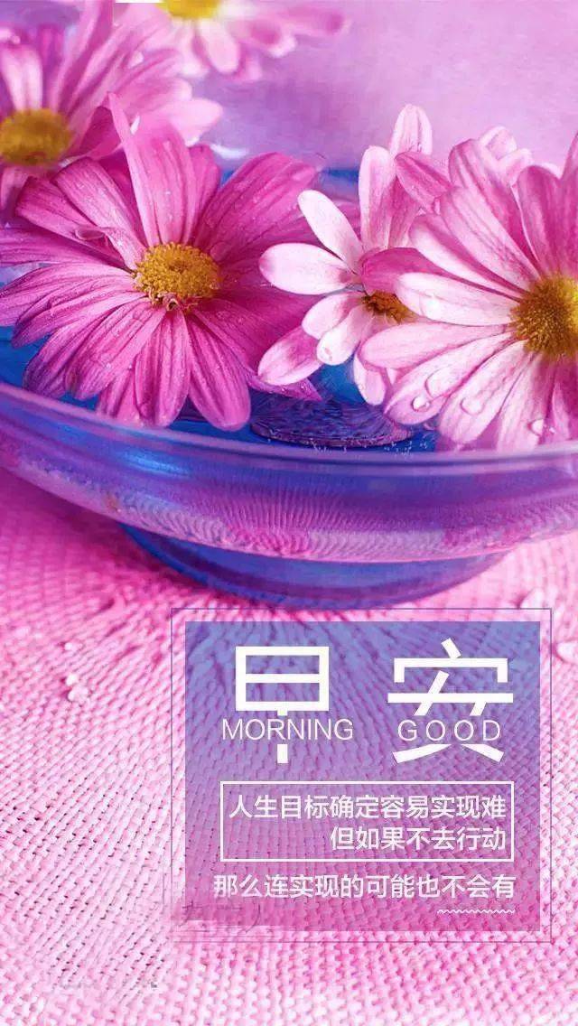 鸡游戏_免费吃鸡类游戏_手机免费吃鸡游戏不用下载