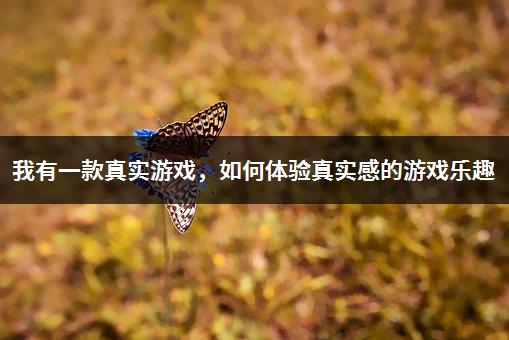 深夜适合玩手机游戏吗_适合深夜自己玩的手机游戏_深夜适合玩手机游戏有哪些