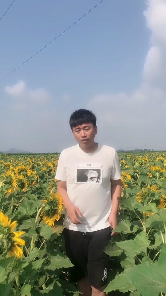 羽禾直播_羽禾fm_禾羽直播升级后叫啥