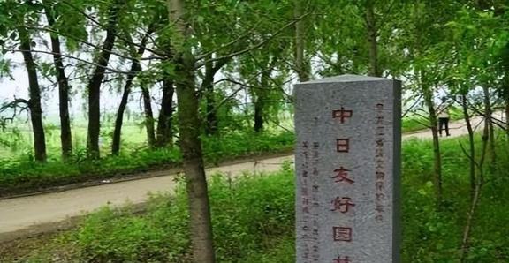 1949年天津沦陷_抗战天津沦陷_天津沦陷