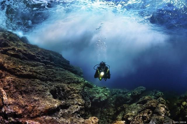探秘奇迹之海：神秘生物、珍稀物种、震撼水下世界