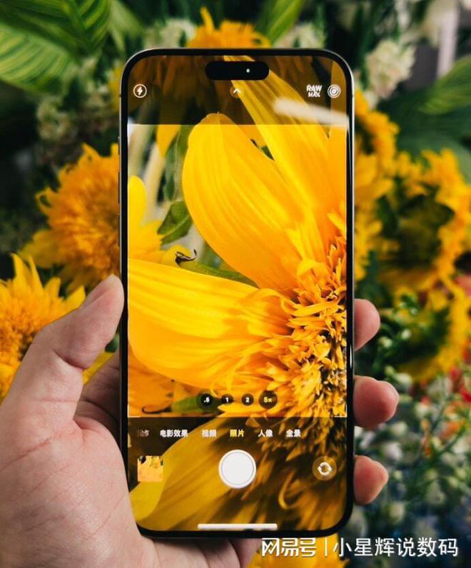 苹果电脑可以下手游吗_苹果电脑怎么下手游_苹果手机能下什么电脑游戏