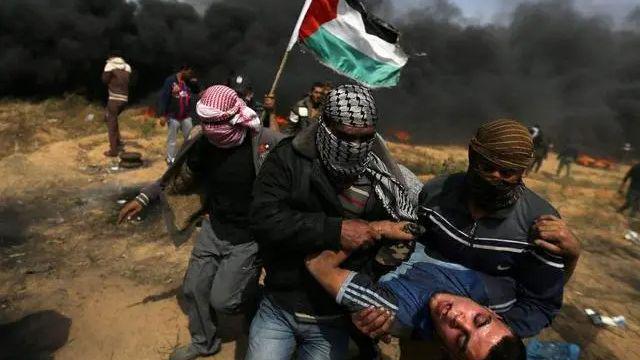 解放巴勒斯坦组织部长是谁_巴勒斯坦解放组织是恐怖组织吗_巴勒斯坦解放组织
