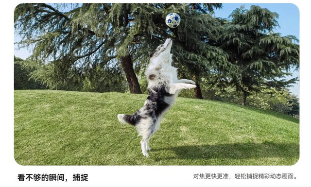手机美颜游戏下载_美颜手机版下载_帮我下载个美颜