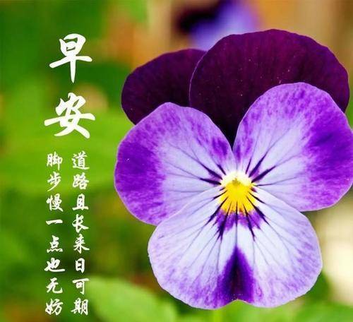 不能错过的只有你_错过能改签吗_错过能退票吗
