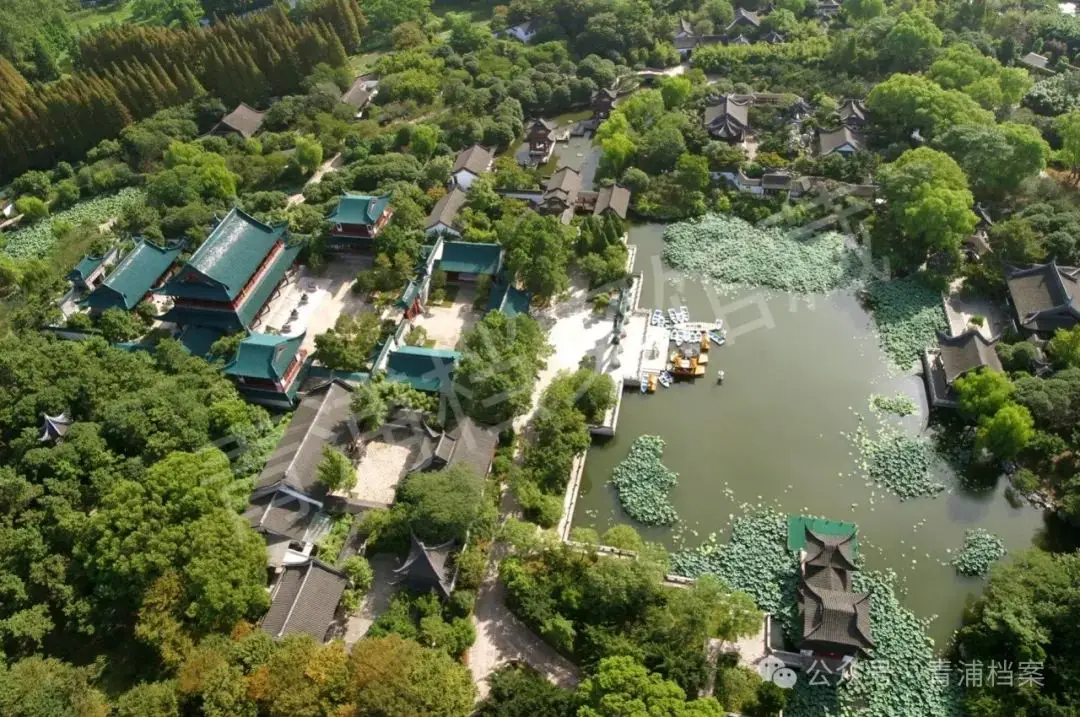 洛瑟玛塞隆同款幻化_洛瑟玛塞隆_洛萨玛塞隆
