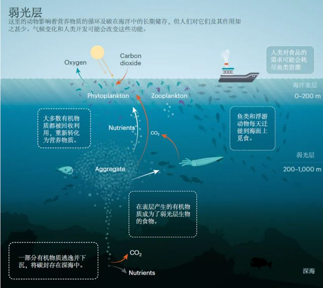 女武神的骑行：挑战与成长的心灵之旅，探索生活的真谛