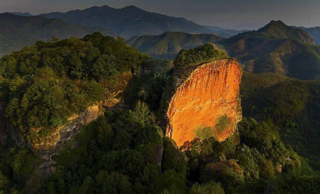 精山是什么意思是什么_精山跟正品区别_山精