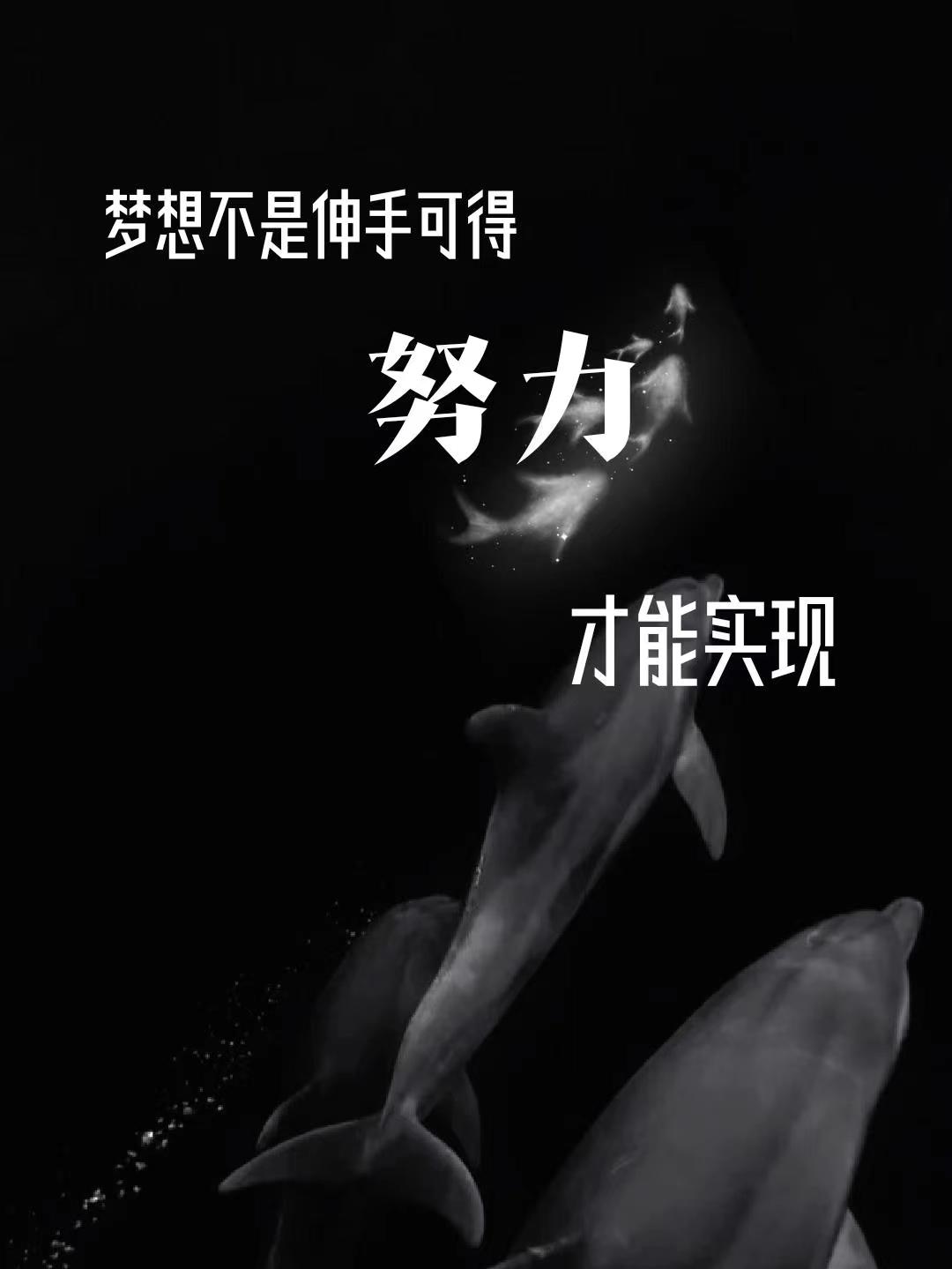 琴美结局_凉宫琴美_琴美cv