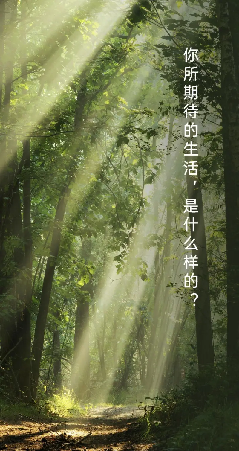 华数鲜时光手机版下载_鲜时光下载安装_华数鲜时光在线看