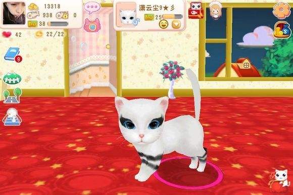 收养猫咪的软件是啥_收养猫游戏下载安装手机版_3d猫手机版下载