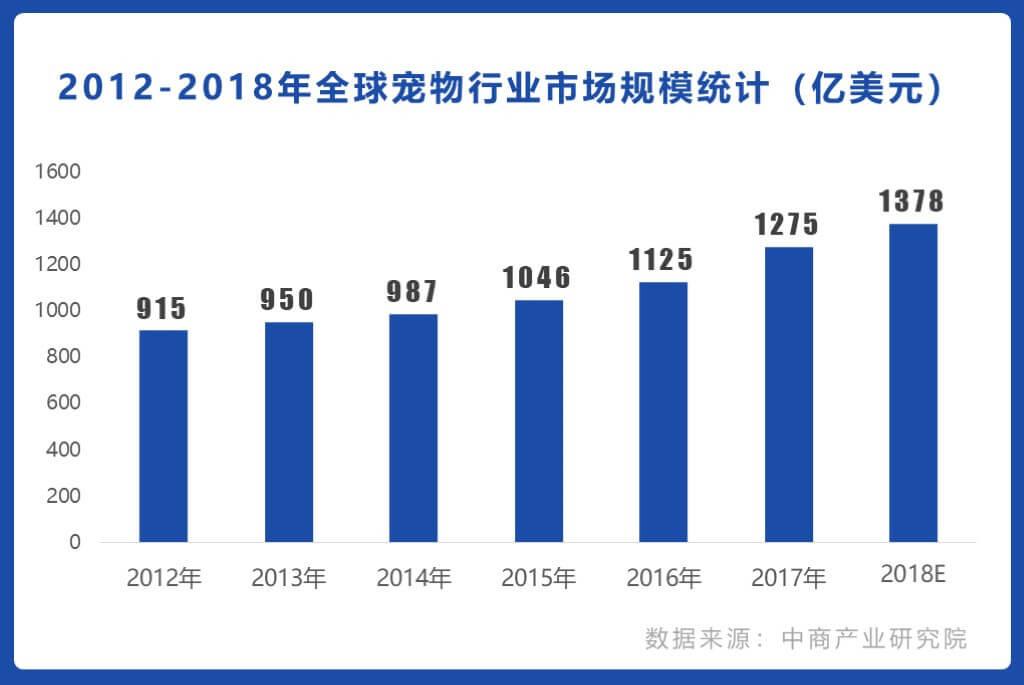 发现宠物帕琪，改变生活轨迹：我的伙伴、慰藉与阳光