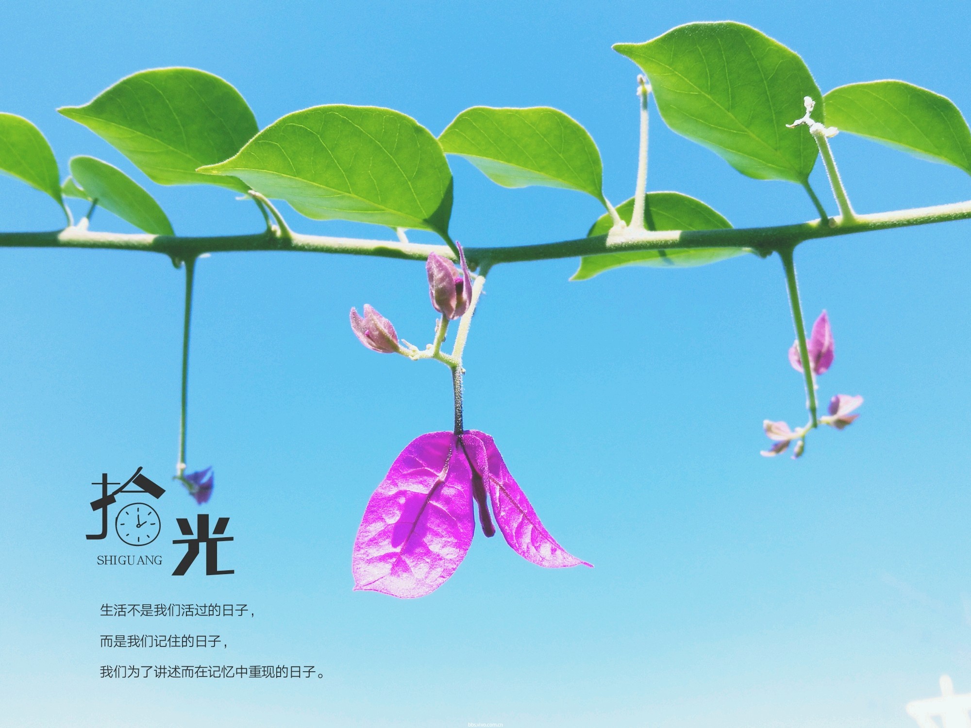 汪冬兴个人资料_汪冬兴简介_汪冬兴