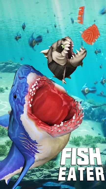 鲨鱼游戏手机推荐_鲨鱼类手游_手机鲨鱼游戏虎鲸