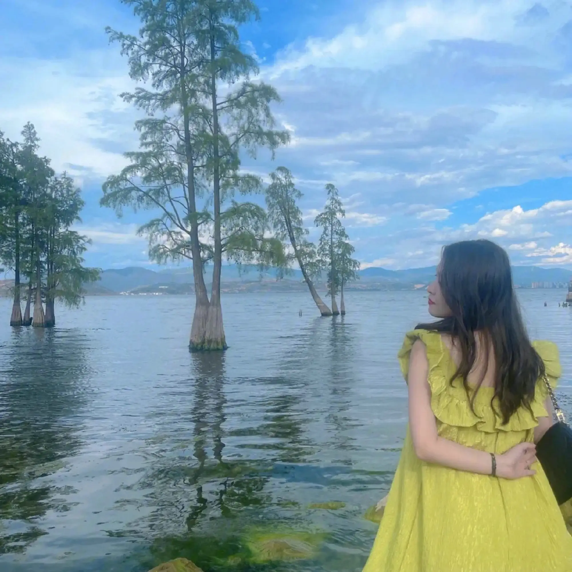 弥海砂最后结局_弥海砂_弥海砂身高