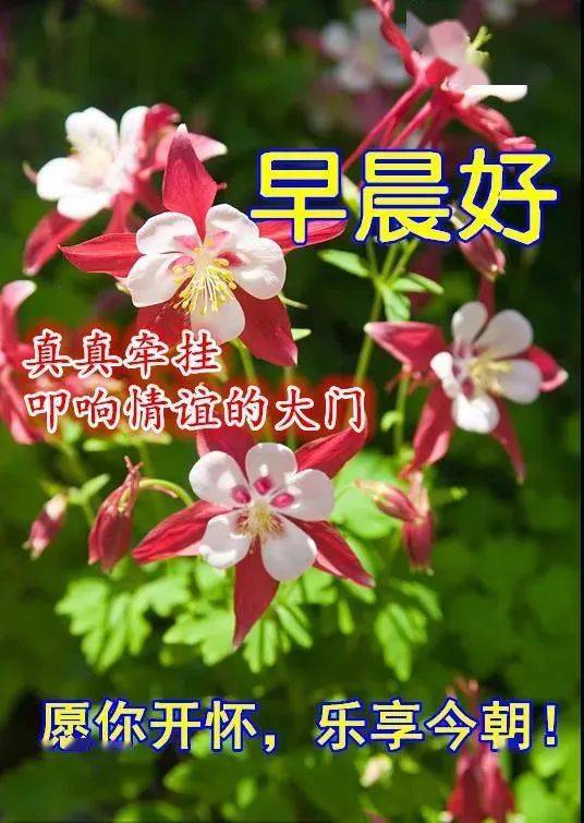 泡泡乐园手机游戏怎么玩_泡泡乐园官方下载_泡泡乐园手机游戏