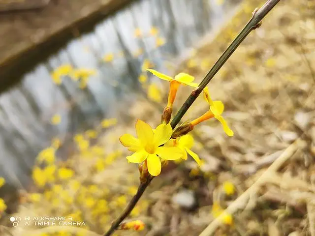 适合拍照打游戏的手机推荐_适合打游戏拍照手机_拍照适合打手机游戏吗