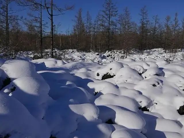 凛雪鸦_凛雪鸦_凛雪鸦