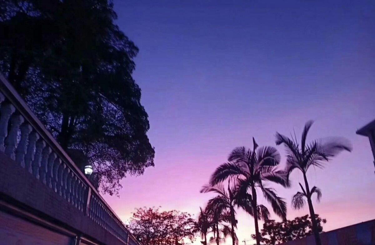 美德类似手机游戏有哪些_手机类似美德的游戏_类似美德的slg游戏