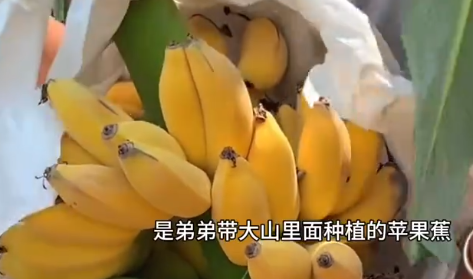 商务通手机在2006年很火么_商务通隐形手机游戏_商务通手机版下载安装