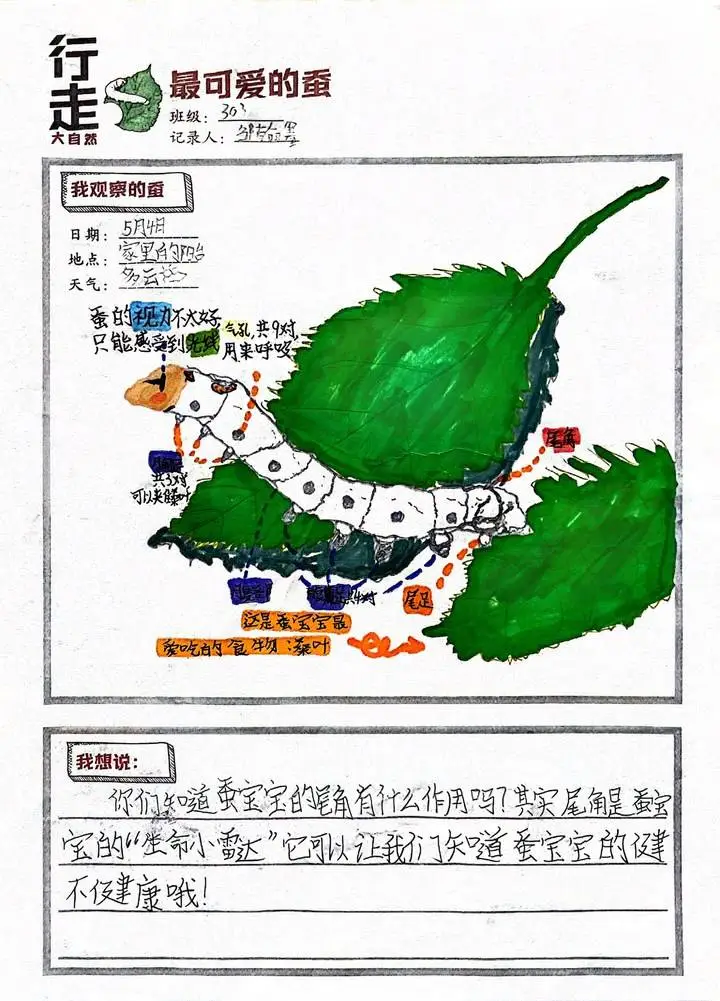 python创建数组-Python 数组：数字世界的魔法小屋