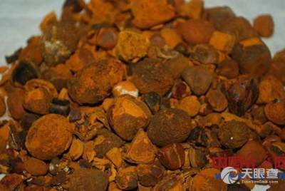 谷歌网页版入口_谷歌浏览器官网入口网页版_谷歌网页版入口363