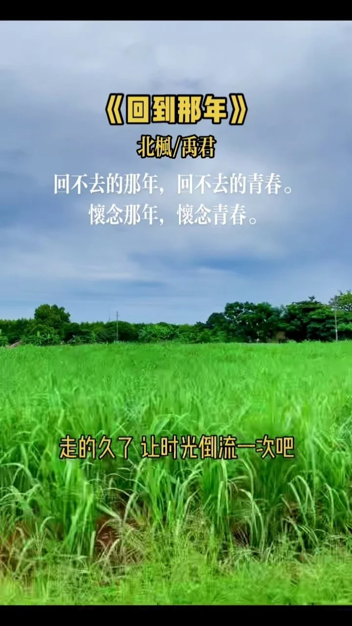 姬叉_叉姬技能_叉姬技能介绍