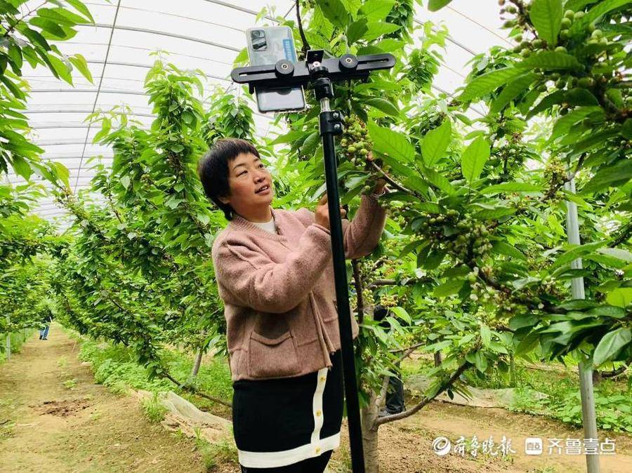 赔偿卖家货错发要求可以拒收吗_卖家发错货可以要求赔偿吗_卖家发错货补偿