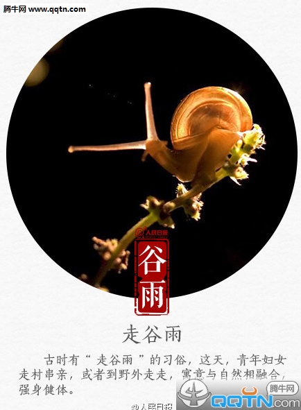 走谷雨_谷雨走谷雨是什么意思_谷雨走谷雨