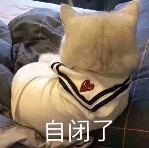 json中有反斜杠引号_如何解决json中携带的反斜杠_怎样解析带斜杠的json数据