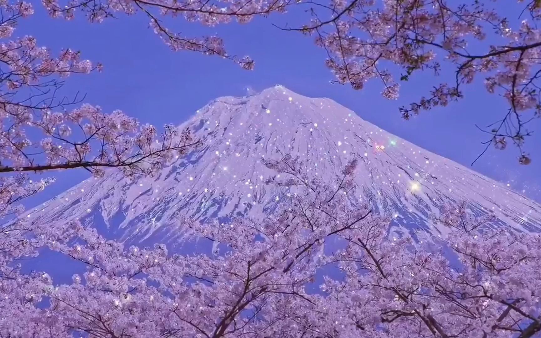 浅见濑奈：一个如樱花般轻盈诗意的女子