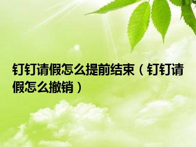 钉钉信息提醒设置_钉钉信息提醒在哪里打开_钉钉消息不提醒怎么办