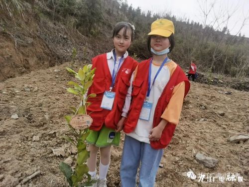 植树节主题班会图片_植树节主题活动_植树节主题