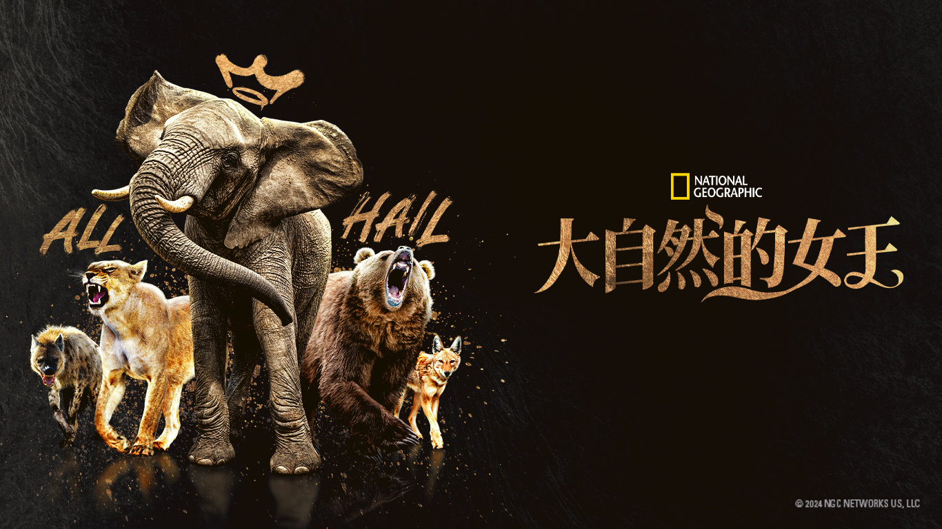 科拿天王图片_科拿美图_科拿