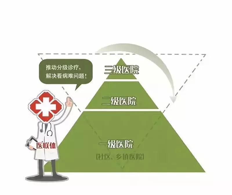 过渡时期的路线主体是_过渡时期路线的总特征_过渡时期总路线时间