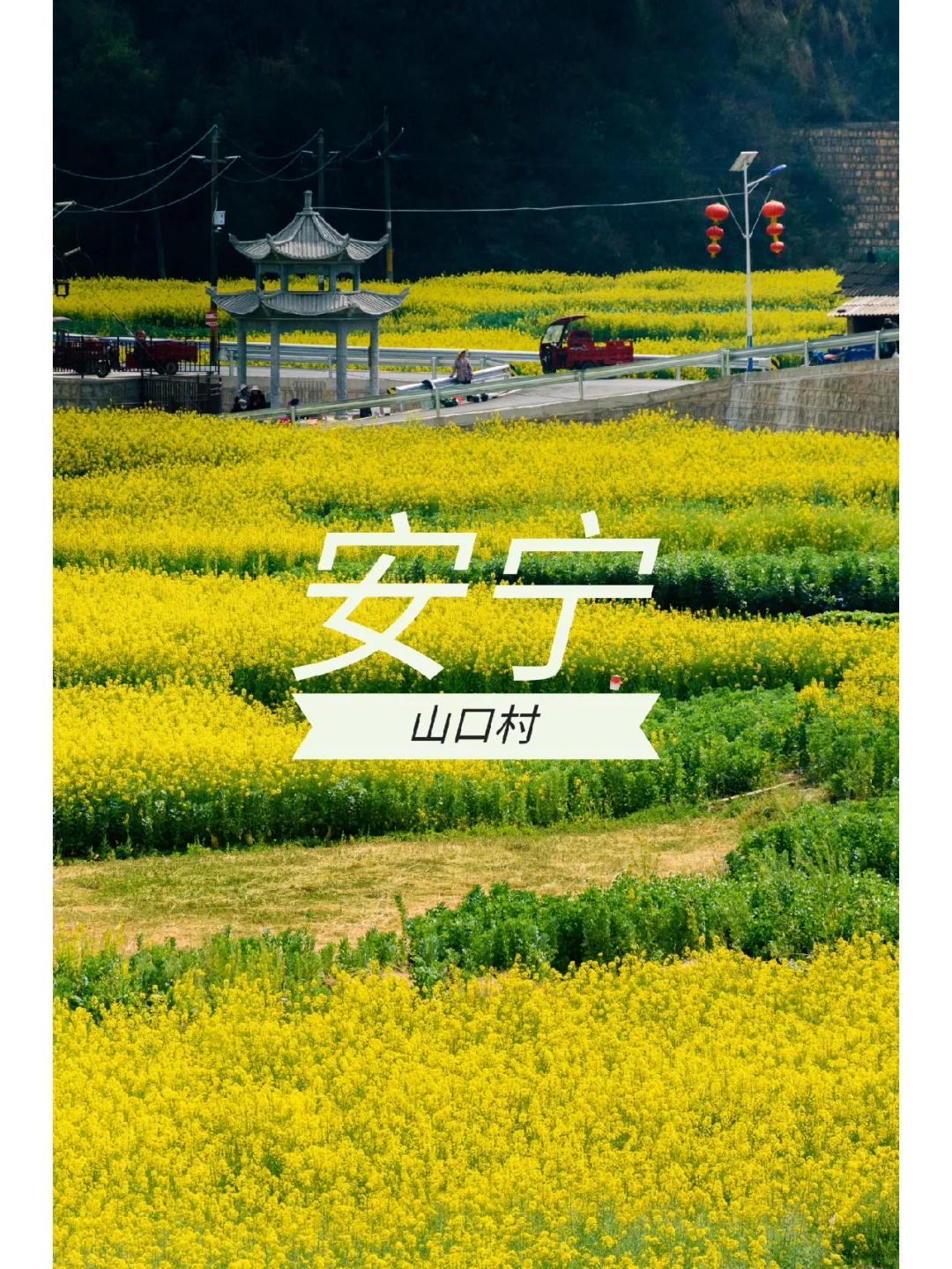 山口一郎聋了吗_一郎一郎_山口一郎