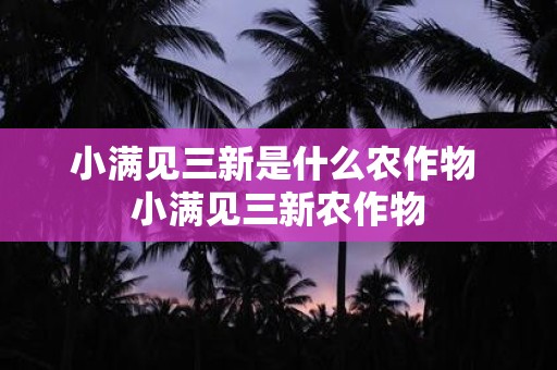 小满之后是什么_小满是怎么由来的_小满是什么时候