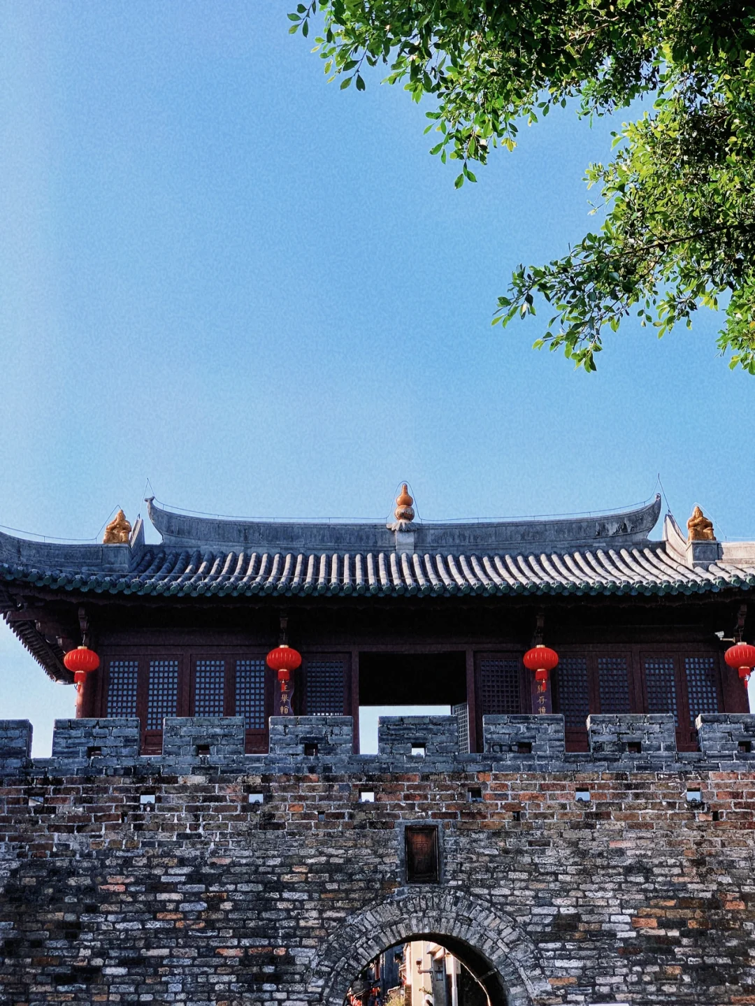 龙崎_龙崎L_龙崎教练