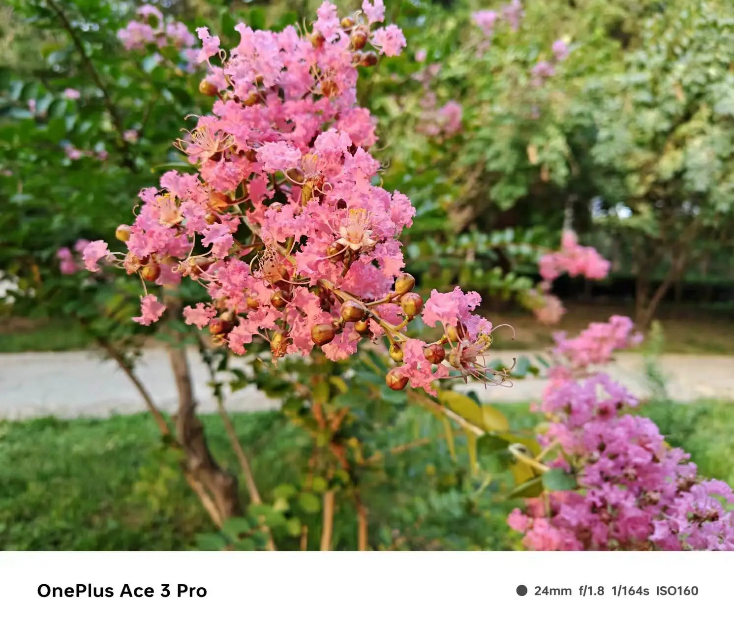 苹果手机大型游戏排行_苹果手机上的大型游戏_苹果手机大型游戏