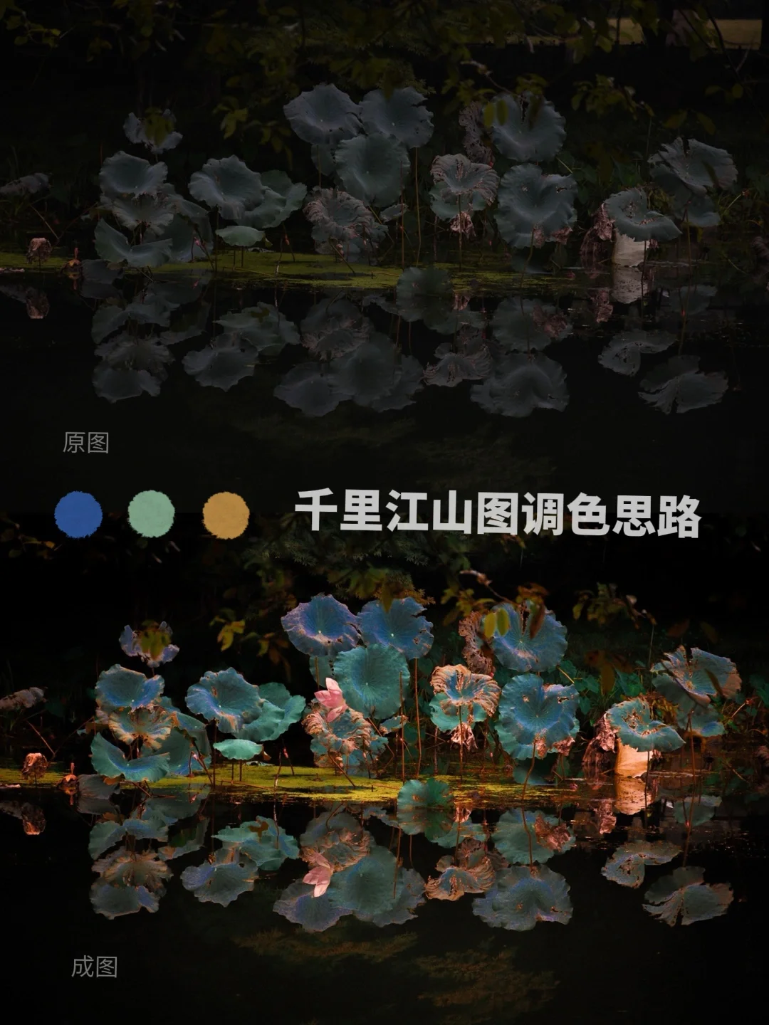 实物手机调色游戏_可以调色的游戏_实物调色手机游戏大全