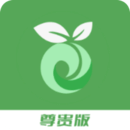 青青草下载
