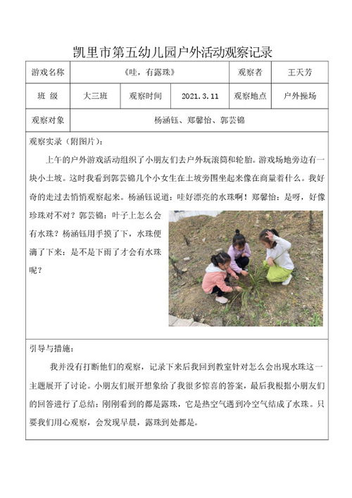 幼儿户外游戏观察记录,幼儿户外游戏观察记录——探索与成长的足迹