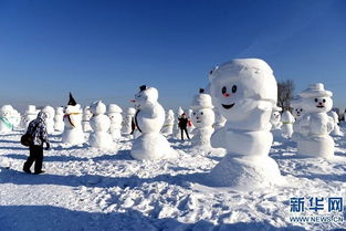 拍雪人游戏,挑战极限的冰雪冒险