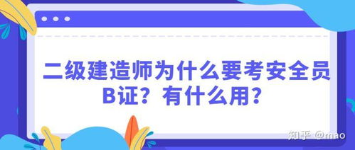 机场安全员模拟器 