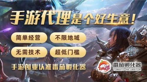 游戏创业优点,无限商机与挑战并存的数字世界之旅