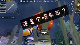 熙解说游戏,畅游精彩游戏之旅