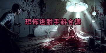 快恐怖游戏,探索未知恐怖游戏的惊魂之旅