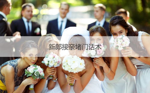 接亲游戏韩国,趣味与文化的交融