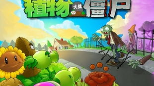 妙招小游戏,快乐生活每一天