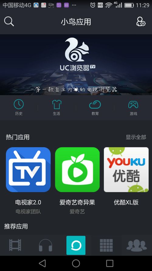 安卓系统有个小鸟是什么,小鸟飞越挑战之旅